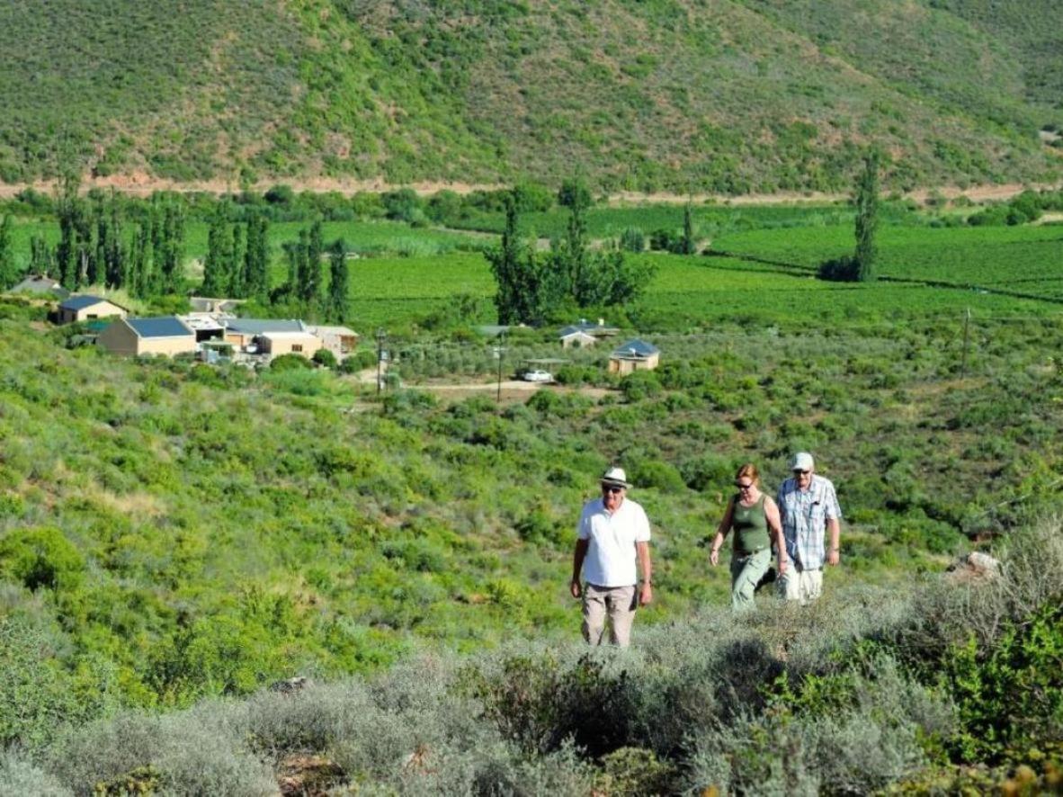 Mymering Wine & Guest Estate Ladismith Extérieur photo