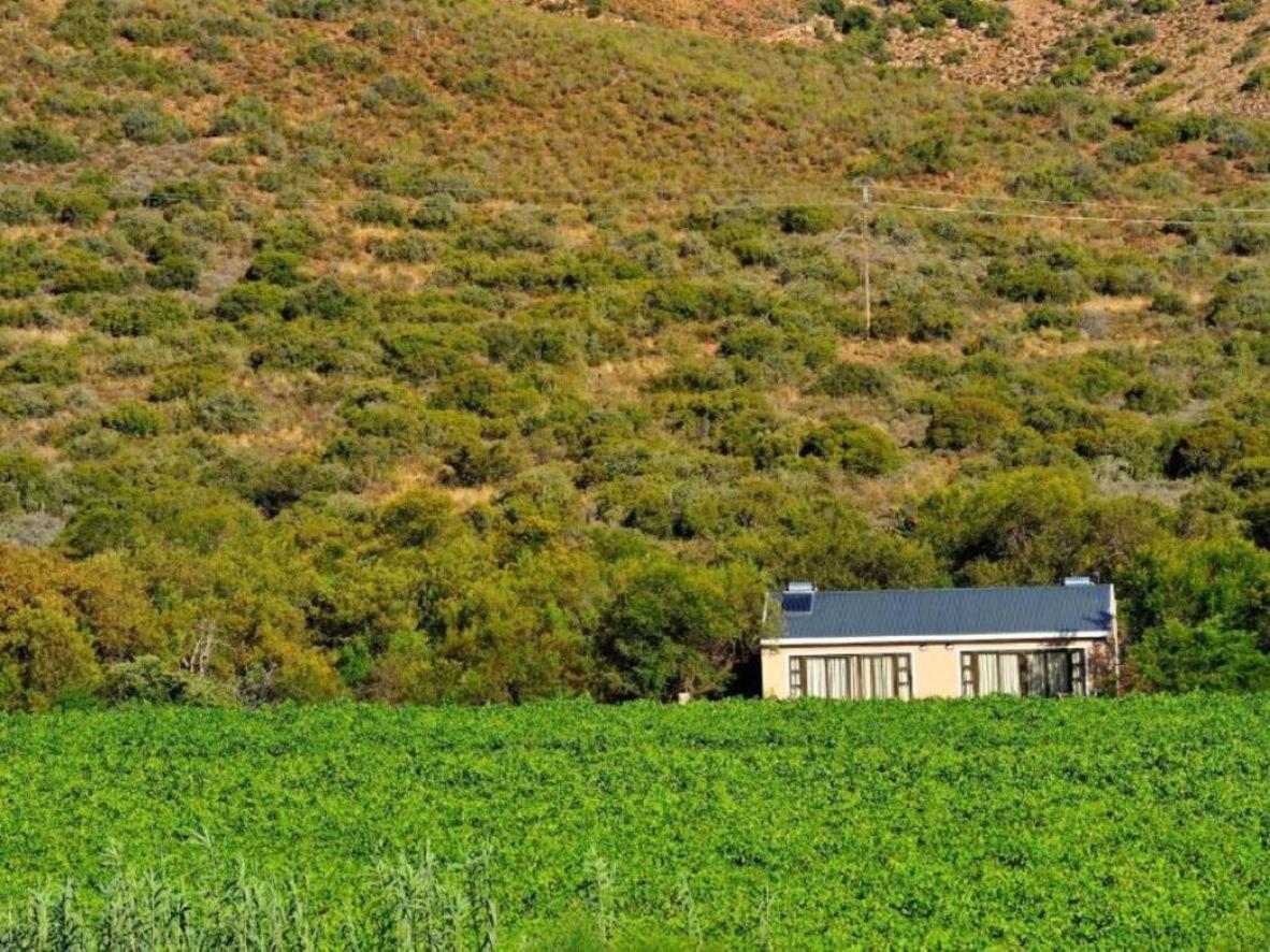 Mymering Wine & Guest Estate Ladismith Extérieur photo