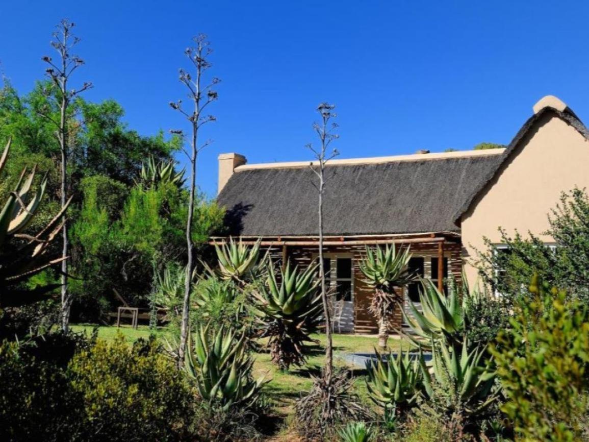 Mymering Wine & Guest Estate Ladismith Chambre photo