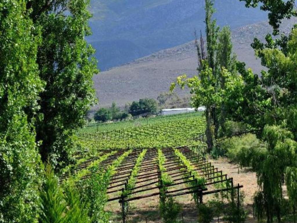 Mymering Wine & Guest Estate Ladismith Extérieur photo